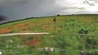 Dead Russians by 79th Brigade.