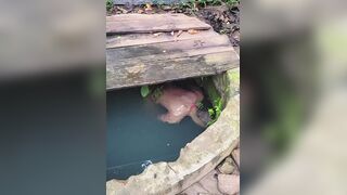 Missing Man Found Drowned In A Well