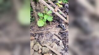 Missing Man Found Drowned In A Well