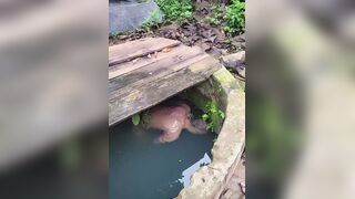 Missing Man Found Drowned In A Well