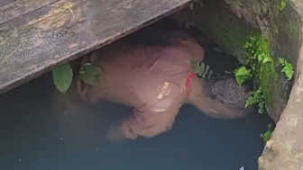 Missing Man Found Drowned In A Well