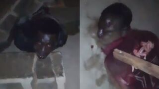 Solar Equipment Thieves Apprehended In Nigeria