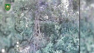 Dead Russians by 21st Brigade.