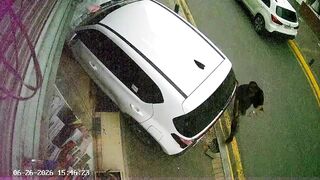 Beauty Supply Store Owner Crushed By Female Driver In Ecuador
