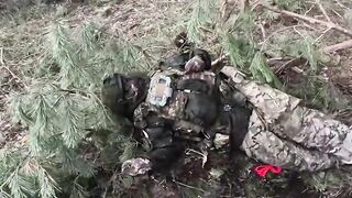 Rotten Russhits everywhere.