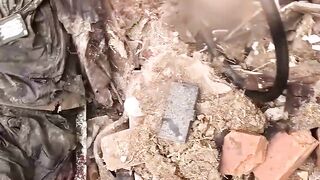 Rotten Russhits everywhere.