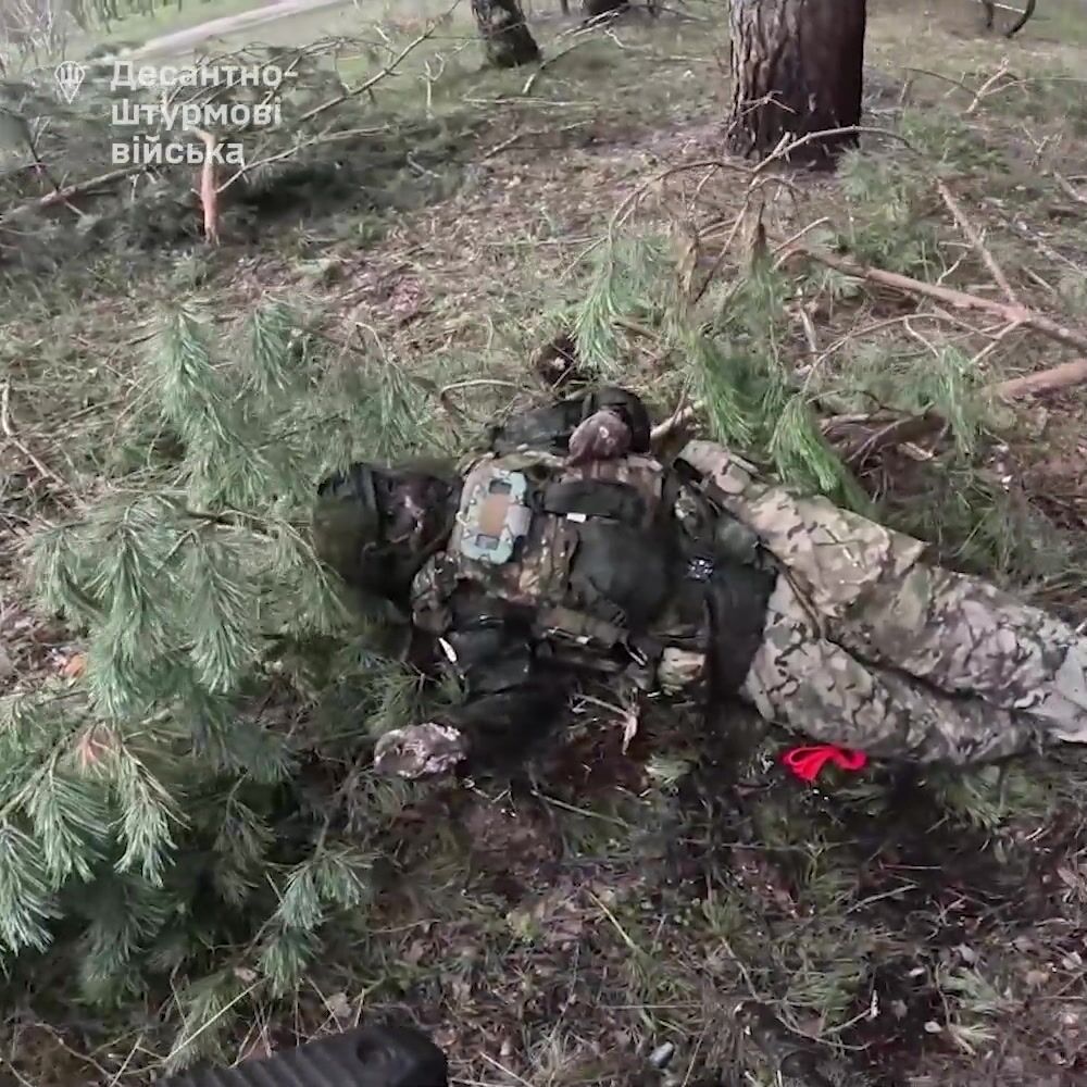 Rotten Russhits everywhere.