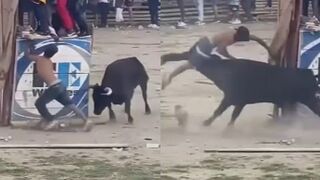Bull Delivers Instant Karma For Stupidity