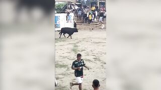 Bull Delivers Instant Karma For Stupidity