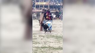 Bull Delivers Instant Karma For Stupidity