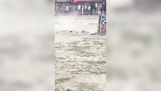 Bull Delivers Instant Karma For Stupidity