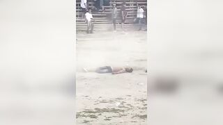 Bull Delivers Instant Karma For Stupidity