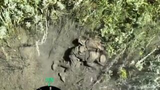 1 Russian vs 3 Ukrainians.