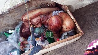 Compilation: bodies of executed women