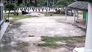 Pickup Driven By 11-Year-Old Boy Kills Eight Monks In Thailand