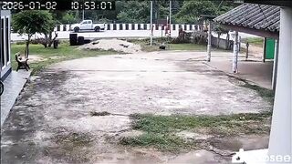 Pickup Driven By 11-Year-Old Boy Kills Eight Monks In Thailand