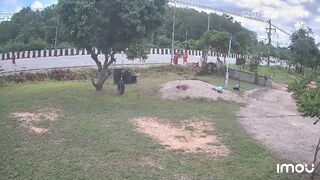 Nine Thai monks killed after 11-year-old driver collides with procession (New Angle,Aftermath)