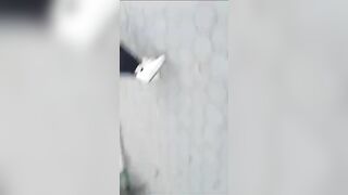 2024: Neo-Nazi Wearing Bodycam Stabs Random Muslims