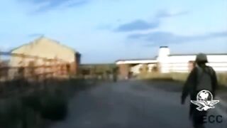 27 hitmen killed by members of the Mexican Army
