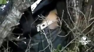 27 hitmen killed by members of the Mexican Army