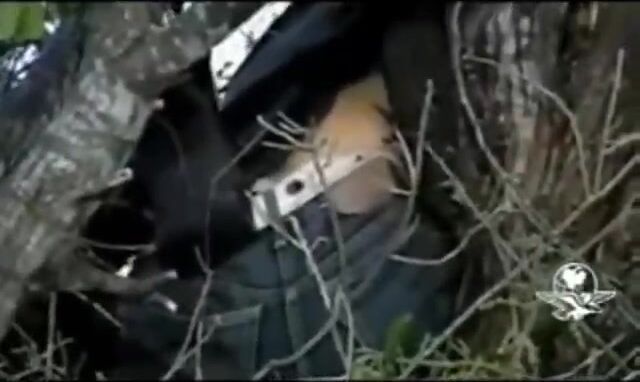 27 hitmen killed by members of the Mexican Army