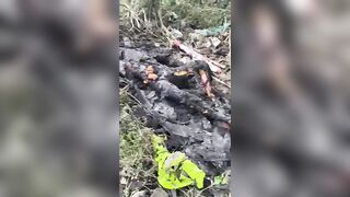 Charred body without hands found in wooded area in Recife