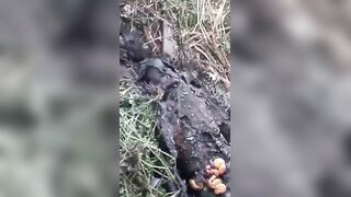 Charred body without hands found in wooded area in Recife