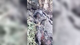 Charred body without hands found in wooded area in Recife