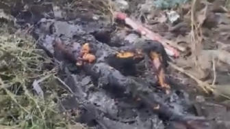 Charred body without hands found in wooded area in Recife