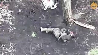UKRAINE DEATH COMP CLXV