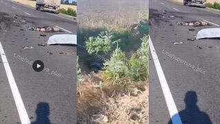 Russian truck driver eliminated by Ukrainian drone #2