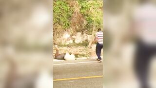 Old Man Takes A Rock To The Head During Stone Fight In Dominican Republic