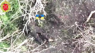 Ukrainian hoof removal and murder.