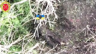 Ukrainian hoof removal and murder.