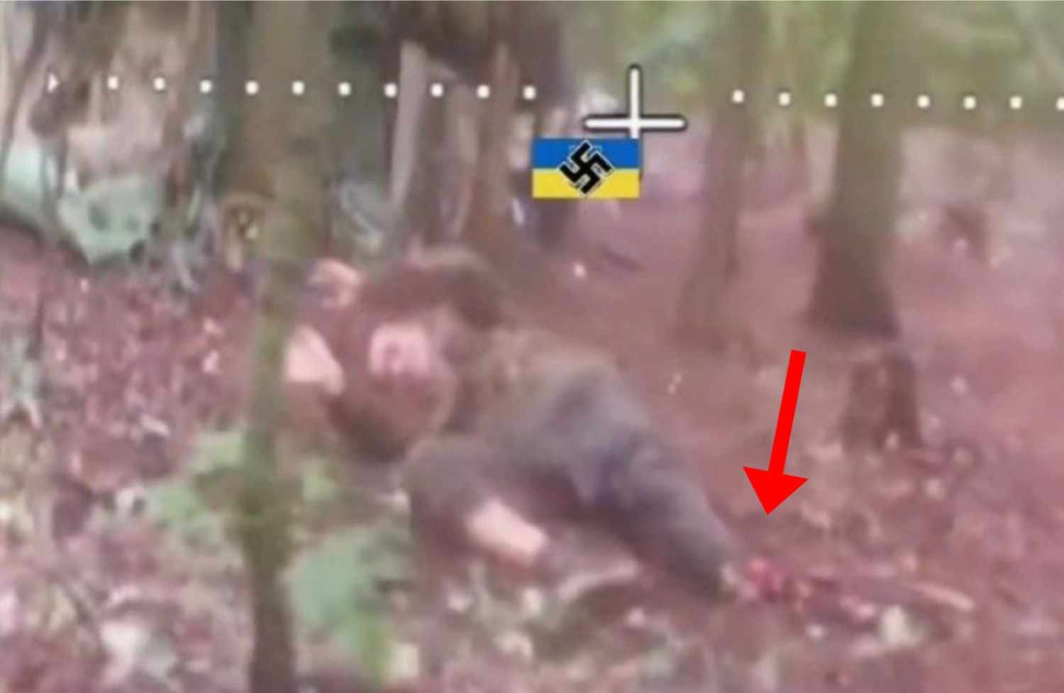 Ukrainian hoof removal and murder.
