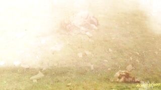 Bjork + Army of Me : Macabre  Compilation