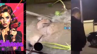 Gore Compilation