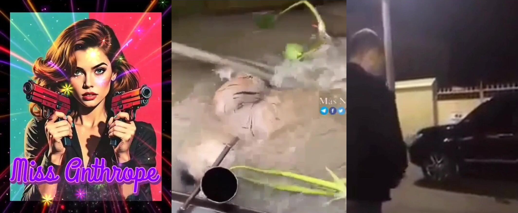 Gore Compilation 36
