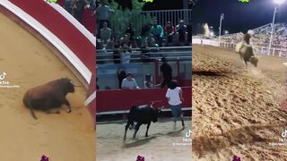 Playing with bulls is fun.