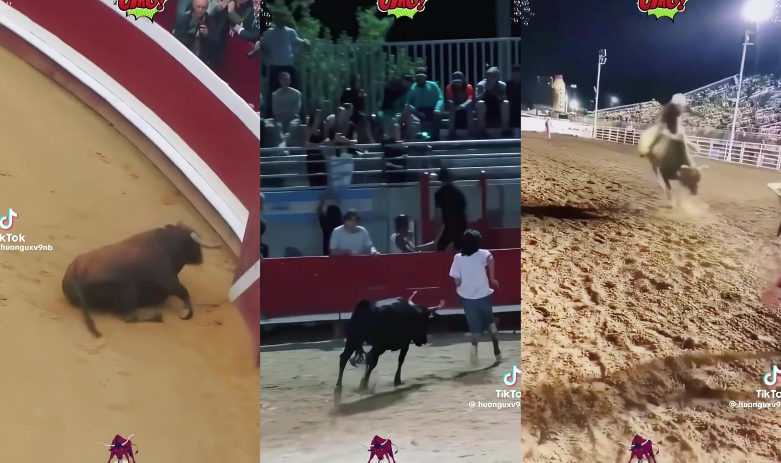 Playing with bulls is fun.