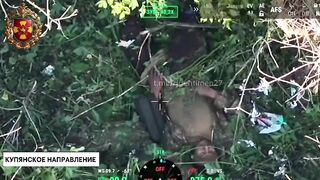 Colombian mercenary torn to pieces.