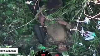 Colombian mercenary torn to pieces.