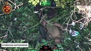 Colombian mercenary torn to pieces.