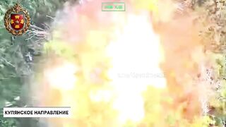 Colombian mercenary torn to pieces.