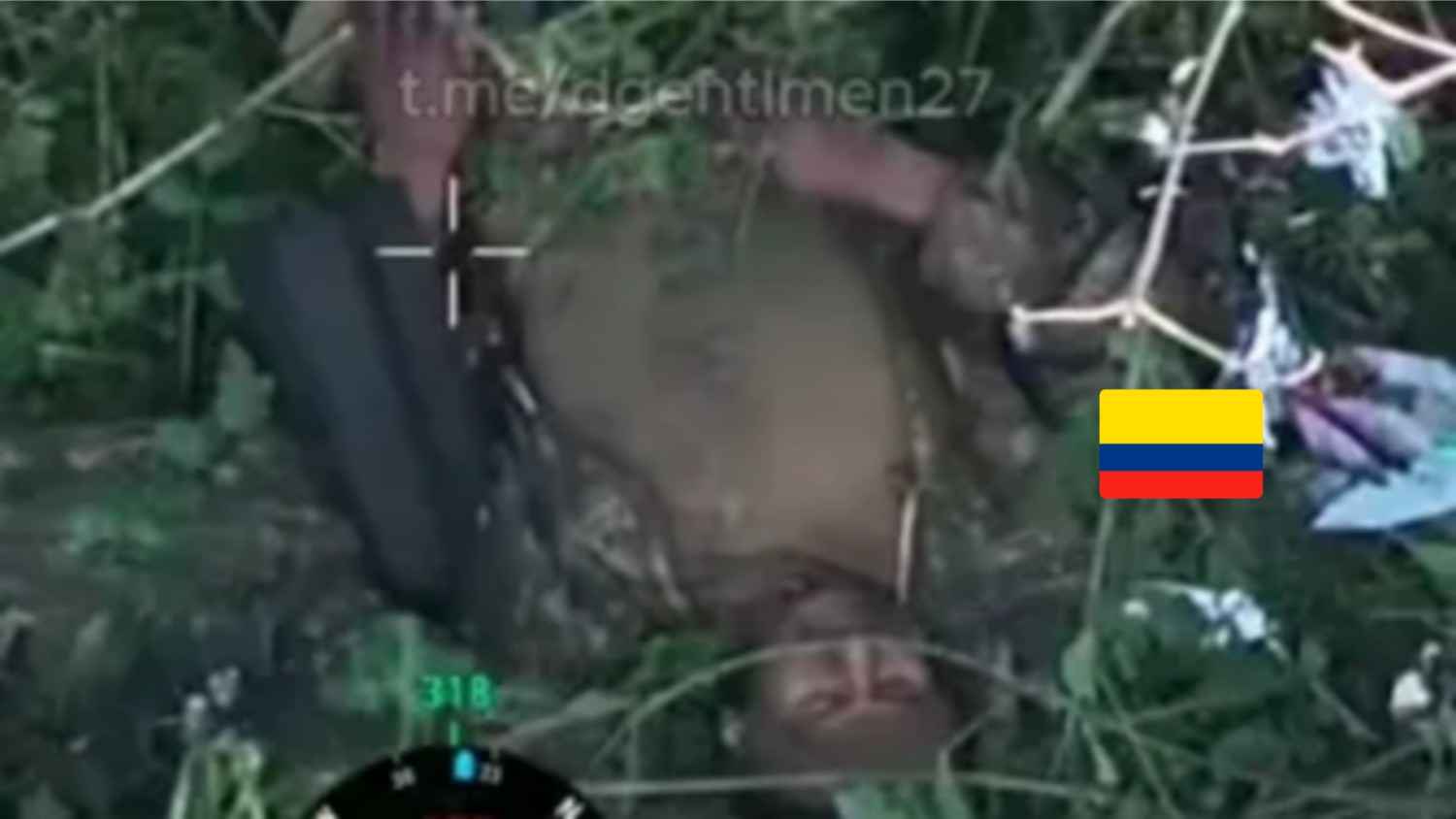 Colombian mercenary torn to pieces.