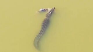 Man Jumps Into River To Fix His Boat, Crocodile Kills Him