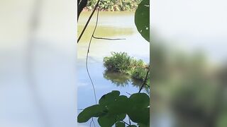 Man Jumps Into River To Fix His Boat, Crocodile Kills Him