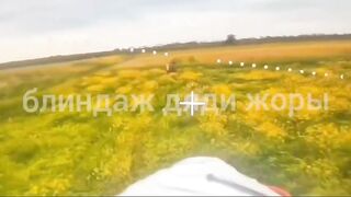 Minus 1 African and 1 Jonah Hill, dead Ukr mercs.