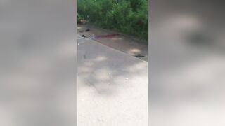 Truck With Rice Overturned Killing Two Including Soldier