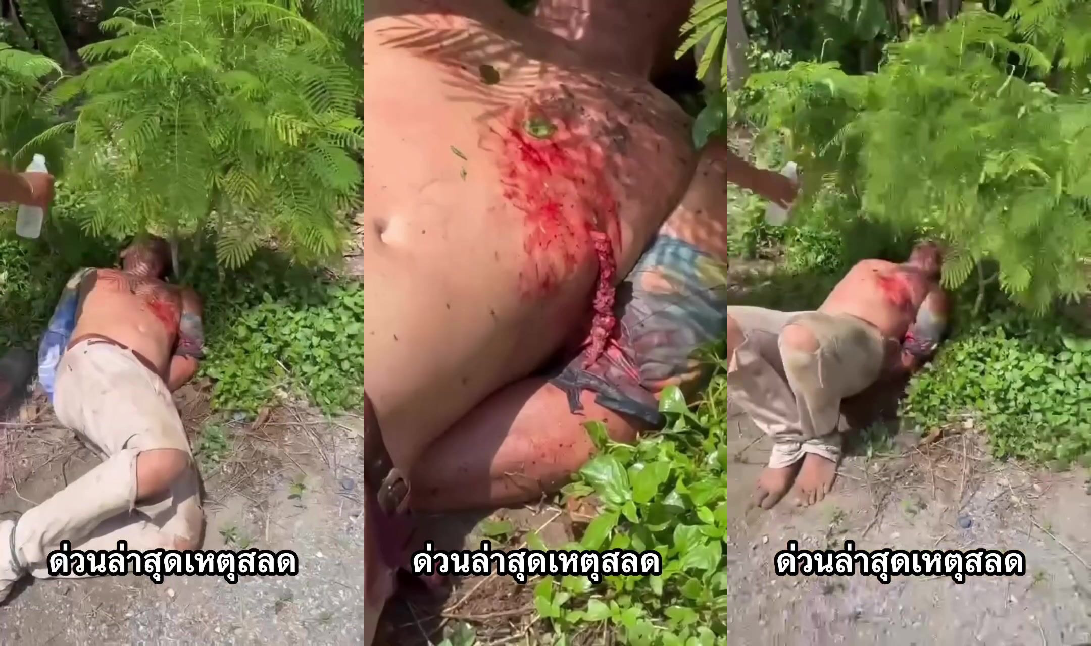 Murderer beat and stabbed